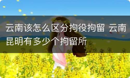 云南该怎么区分拘役拘留 云南昆明有多少个拘留所