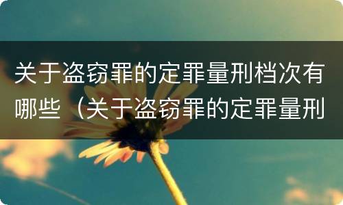 关于盗窃罪的定罪量刑档次有哪些（关于盗窃罪的定罪量刑档次有哪些标准）