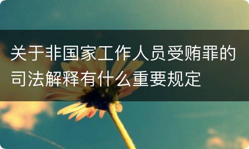 关于非国家工作人员受贿罪的司法解释有什么重要规定