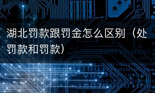 湖北罚款跟罚金怎么区别（处罚款和罚款）