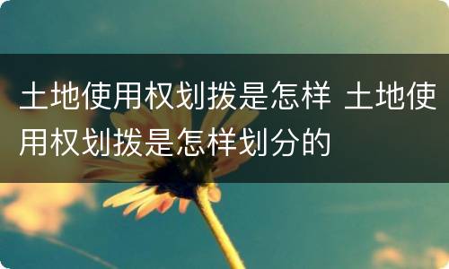 土地使用权划拨是怎样 土地使用权划拨是怎样划分的