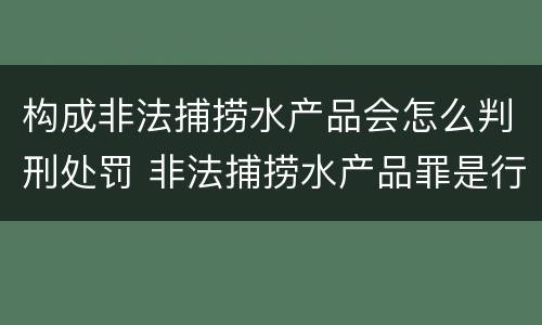 构成非法捕捞水产品会怎么判刑处罚 非法捕捞水产品罪是行为犯吗