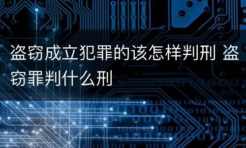 盗窃成立犯罪的该怎样判刑 盗窃罪判什么刑