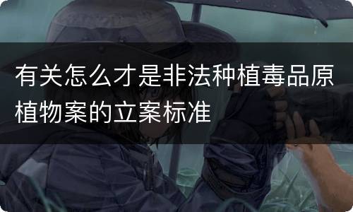 有关怎么才是非法种植毒品原植物案的立案标准