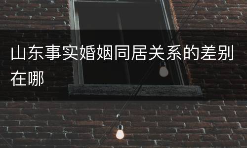 山东事实婚姻同居关系的差别在哪