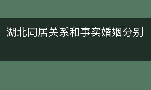 湖北同居关系和事实婚姻分别