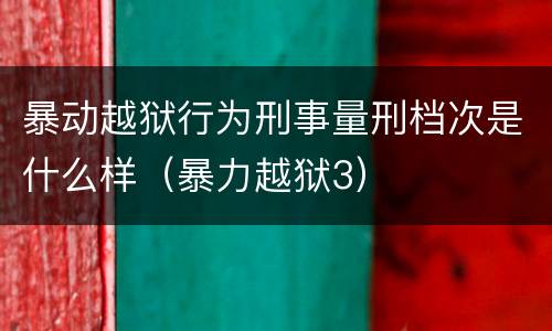 暴动越狱行为刑事量刑档次是什么样（暴力越狱3）
