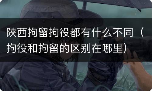 陕西拘留拘役都有什么不同（拘役和拘留的区别在哪里）