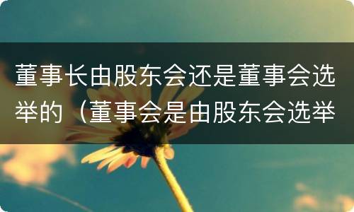 董事长由股东会还是董事会选举的（董事会是由股东会选举产生的吗）