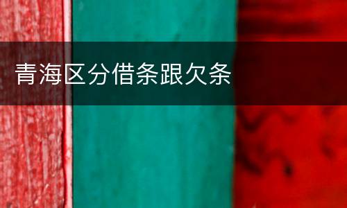 青海区分借条跟欠条