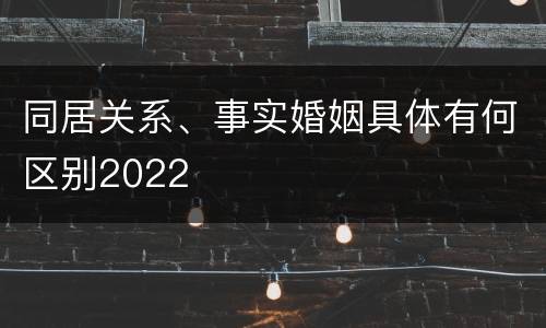 同居关系、事实婚姻具体有何区别2022