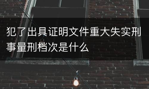 犯了出具证明文件重大失实刑事量刑档次是什么