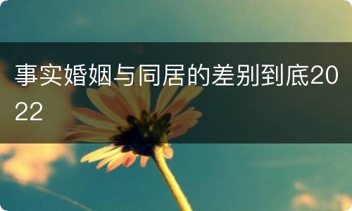 事实婚姻与同居的差别到底2022