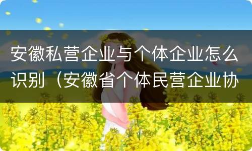 安徽私营企业与个体企业怎么识别（安徽省个体民营企业协会官网）