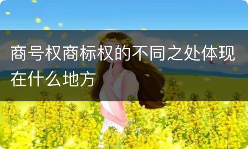 商号权商标权的不同之处体现在什么地方