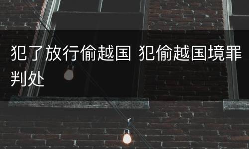 犯了放行偷越国 犯偷越国境罪判处