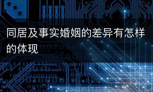 同居及事实婚姻的差异有怎样的体现