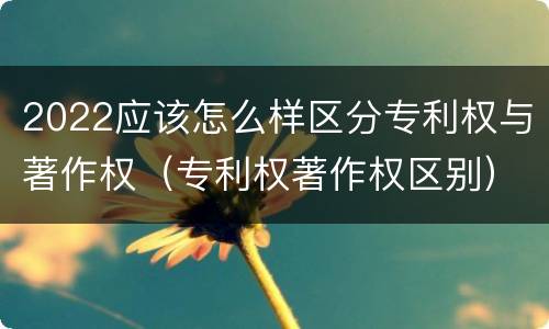 2022应该怎么样区分专利权与著作权（专利权著作权区别）