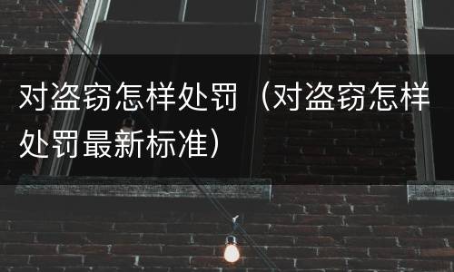 对盗窃怎样处罚（对盗窃怎样处罚最新标准）