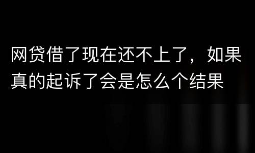 网贷借了现在还不上了，如果真的起诉了会是怎么个结果