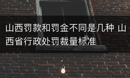 山西罚款和罚金不同是几种 山西省行政处罚裁量标准