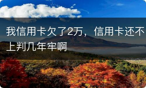 我信用卡欠了2万，信用卡还不上判几年牢啊