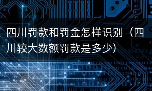 四川罚款和罚金怎样识别（四川较大数额罚款是多少）
