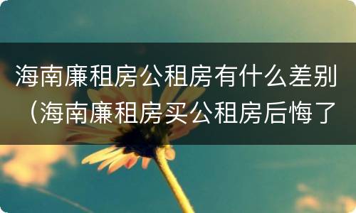 海南廉租房公租房有什么差别（海南廉租房买公租房后悔了）