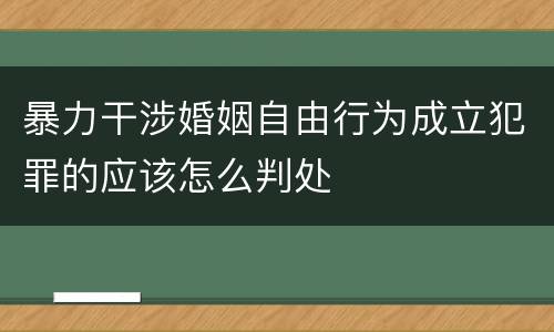 暴力干涉婚姻自由行为成立犯罪的应该怎么判处