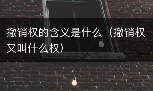 撤销权的含义是什么（撤销权又叫什么权）