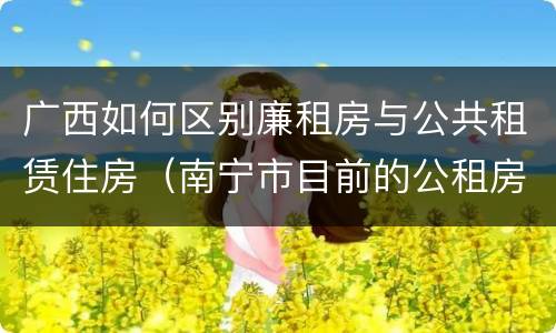 广西如何区别廉租房与公共租赁住房（南宁市目前的公租房与廉租房的区别）