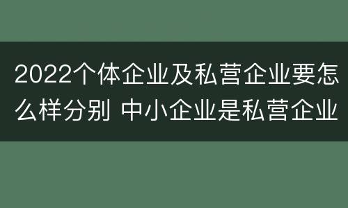 2022个体企业及私营企业要怎么样分别 中小企业是私营企业吗