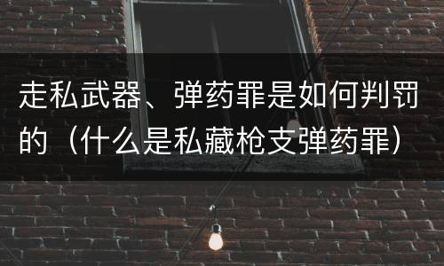 走私武器、弹药罪是如何判罚的（什么是私藏枪支弹药罪）