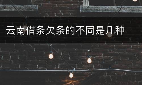 云南借条欠条的不同是几种