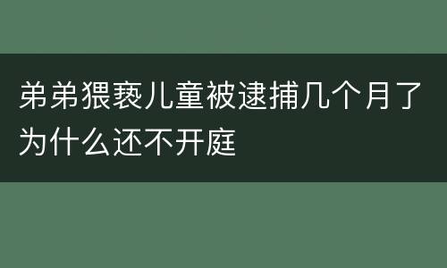 弟弟猥亵儿童被逮捕几个月了为什么还不开庭