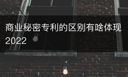 商业秘密专利的区别有啥体现2022