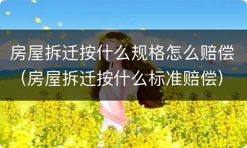 房屋拆迁按什么规格怎么赔偿（房屋拆迁按什么标准赔偿）
