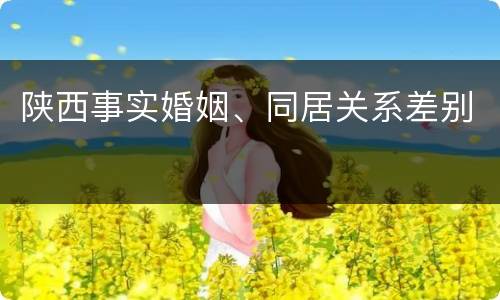 陕西事实婚姻、同居关系差别
