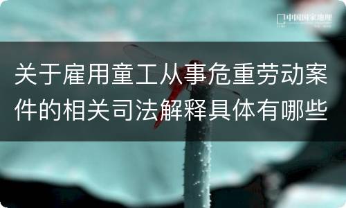 关于雇用童工从事危重劳动案件的相关司法解释具体有哪些重要内容