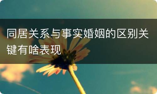 同居关系与事实婚姻的区别关键有啥表现