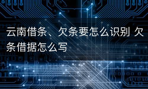 云南借条、欠条要怎么识别 欠条借据怎么写