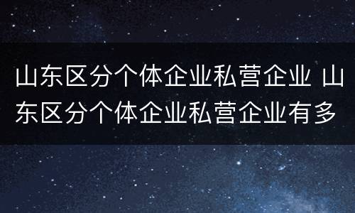 山东区分个体企业私营企业 山东区分个体企业私营企业有多少