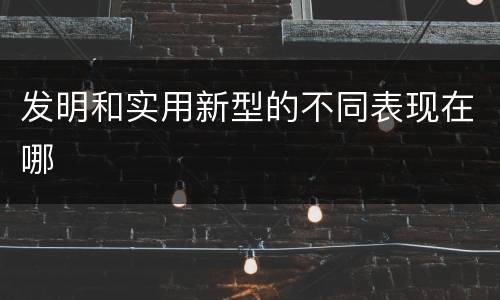 发明和实用新型的不同表现在哪