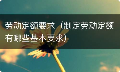 劳动定额要求（制定劳动定额有哪些基本要求）
