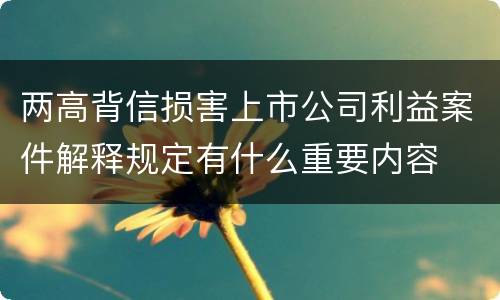 两高背信损害上市公司利益案件解释规定有什么重要内容