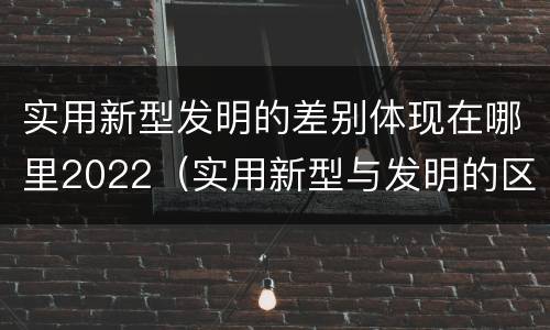实用新型发明的差别体现在哪里2022（实用新型与发明的区别有哪些）