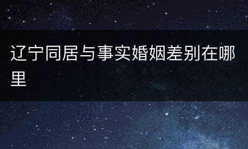 辽宁同居与事实婚姻差别在哪里