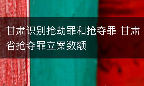 甘肃识别抢劫罪和抢夺罪 甘肃省抢夺罪立案数额