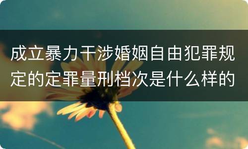 成立暴力干涉婚姻自由犯罪规定的定罪量刑档次是什么样的