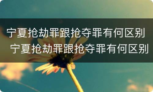 宁夏抢劫罪跟抢夺罪有何区别 宁夏抢劫罪跟抢夺罪有何区别呢